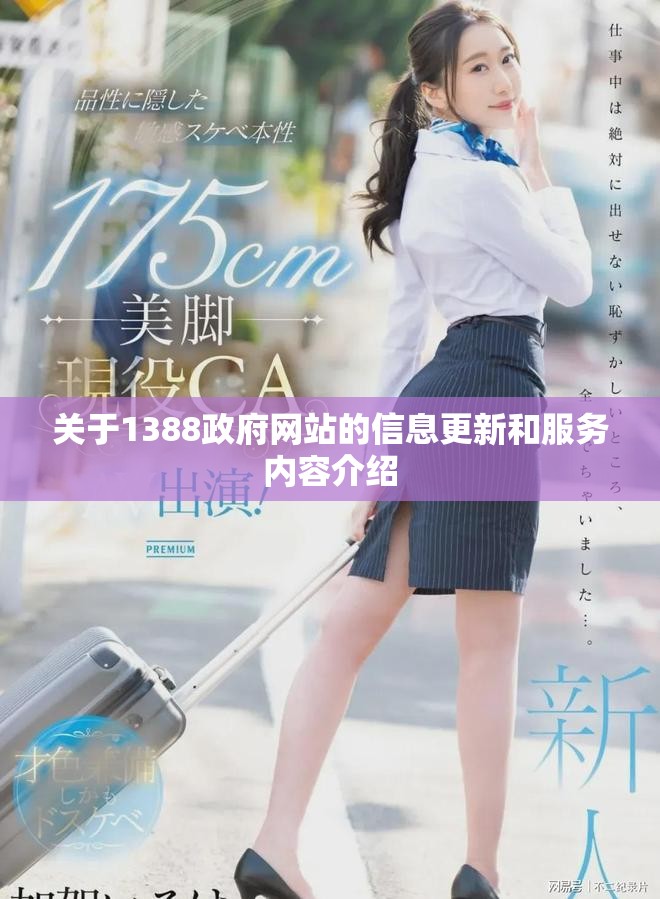 关于1388政府网站的信息更新和服务内容介绍