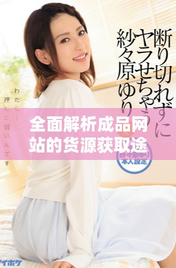 全面解析成品网站的货源获取途径与入口信息