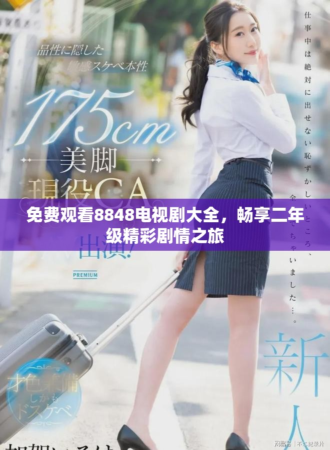 免费观看8848电视剧大全，畅享二年级精彩剧情之旅