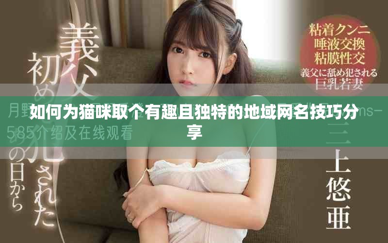 如何为猫咪取个有趣且独特的地域网名技巧分享