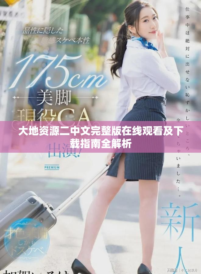 大地资源二中文完整版在线观看及下载指南全解析