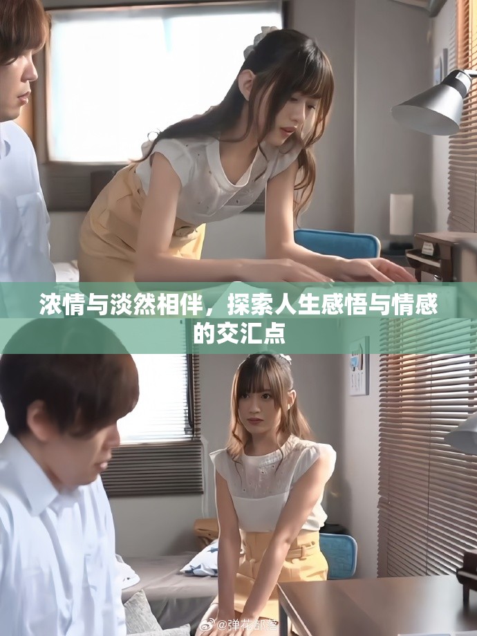 浓情与淡然相伴，探索人生感悟与情感的交汇点