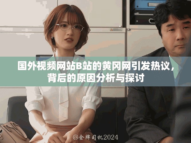 国外视频网站B站的黄冈网引发热议，背后的原因分析与探讨