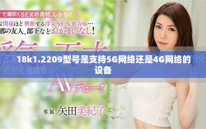 18k1.2209型号是支持5G网络还是4G网络的设备