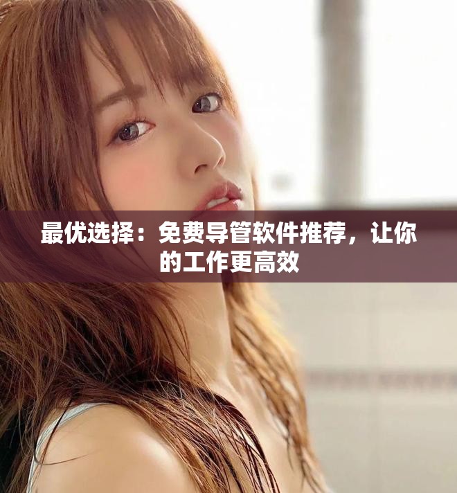 最优选择：免费导管软件推荐，让你的工作更高效
