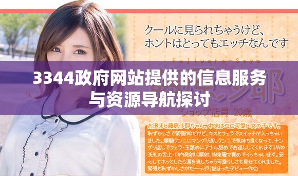 3344政府网站提供的信息服务与资源导航探讨