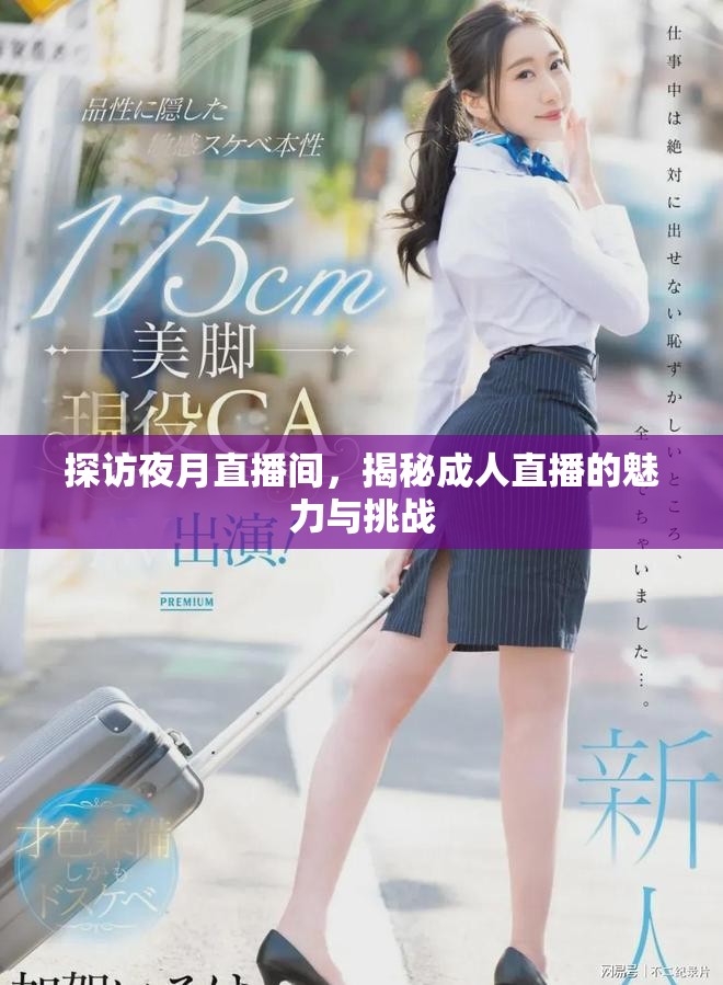 探访夜月直播间，揭秘成人直播的魅力与挑战