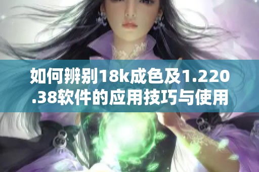 如何辨别18k成色及1.220.38软件的应用技巧与使用指南