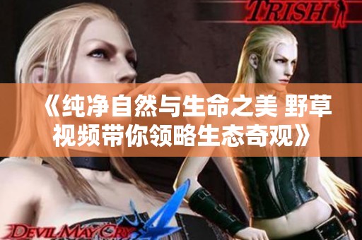《纯净自然与生命之美 野草视频带你领略生态奇观》