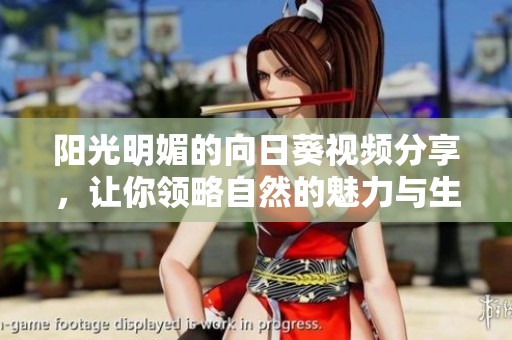 阳光明媚的向日葵视频分享，让你领略自然的魅力与生活的乐趣