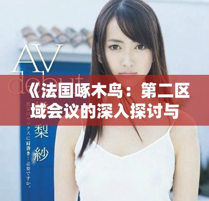 《法国啄木鸟：第二区域会议的深入探讨与未来展望》