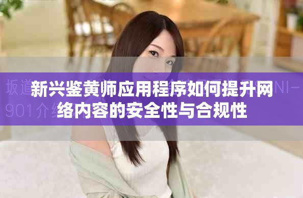 新兴鉴黄师应用程序如何提升网络内容的安全性与合规性
