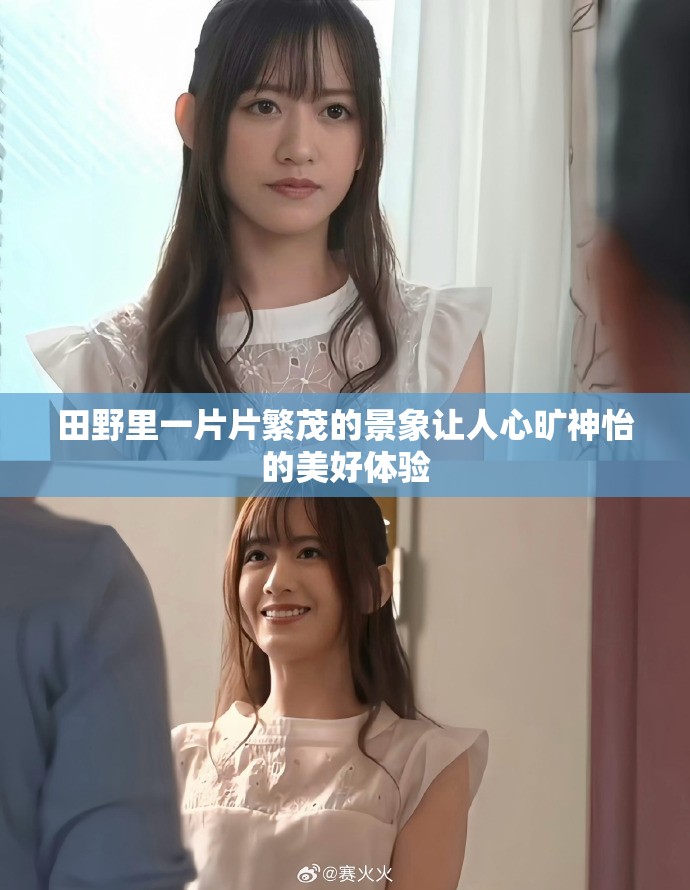田野里一片片繁茂的景象让人心旷神怡的美好体验
