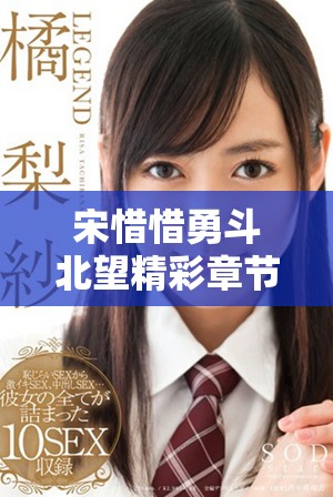 宋惜惜勇斗北望精彩章节无广告免费在线阅读分享