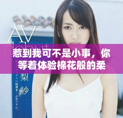 惹到我可不是小事，你等着体验棉花般的柔软和厚重吧