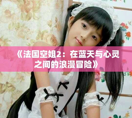 《法国空姐2：在蓝天与心灵之间的浪漫冒险》