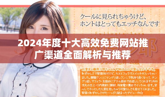 2024年度十大高效免费网站推广渠道全面解析与推荐