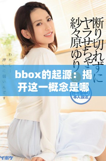 bbox的起源：揭开这一概念是哪个国家首创的秘密
