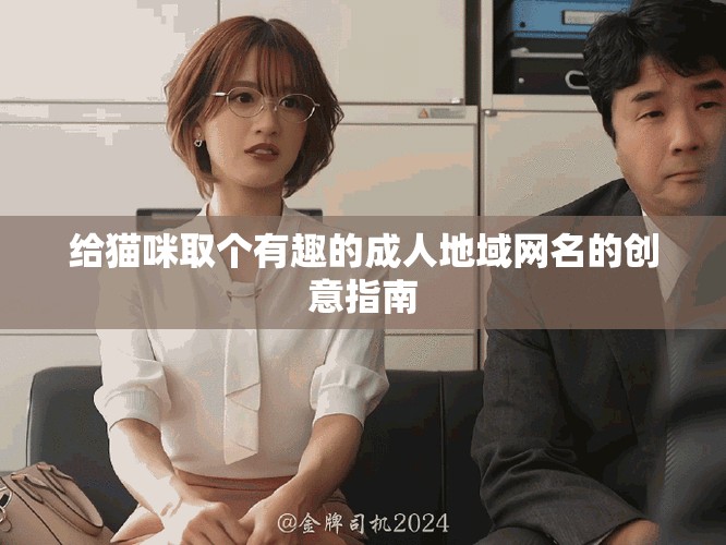 给猫咪取个有趣的成人地域网名的创意指南