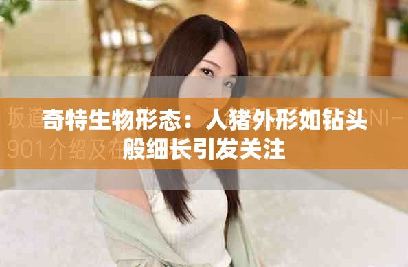 奇特生物形态：人猪外形如钻头般细长引发关注