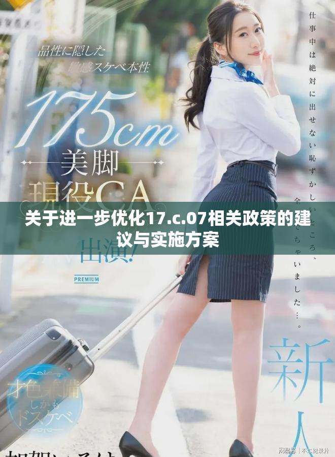 关于进一步优化17.c.07相关政策的建议与实施方案