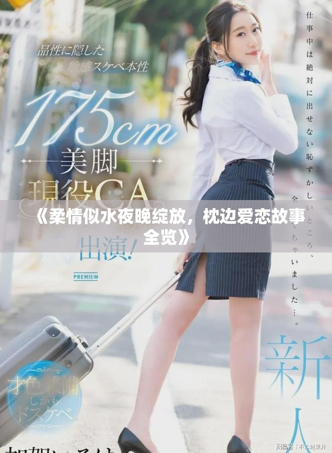 《柔情似水夜晚绽放，枕边爱恋故事全览》