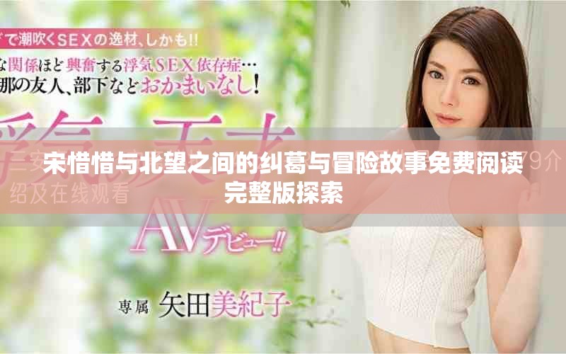 宋惜惜与北望之间的纠葛与冒险故事免费阅读完整版探索