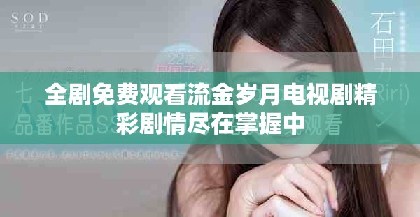 全剧免费观看流金岁月电视剧精彩剧情尽在掌握中