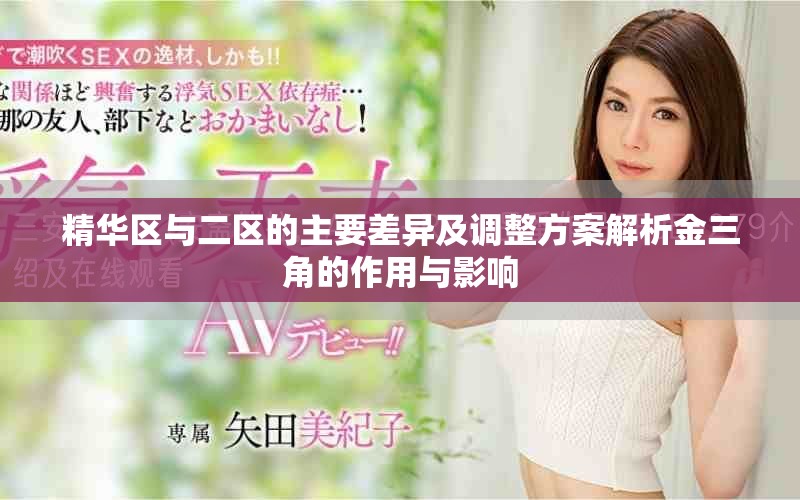 精华区与二区的主要差异及调整方案解析金三角的作用与影响