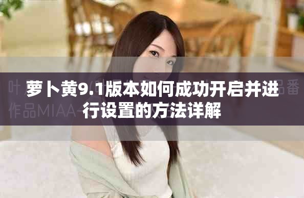 萝卜黄9.1版本如何成功开启并进行设置的方法详解