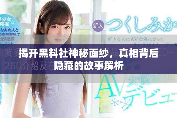 揭开黑料社神秘面纱，真相背后隐藏的故事解析