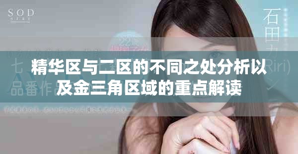 精华区与二区的不同之处分析以及金三角区域的重点解读