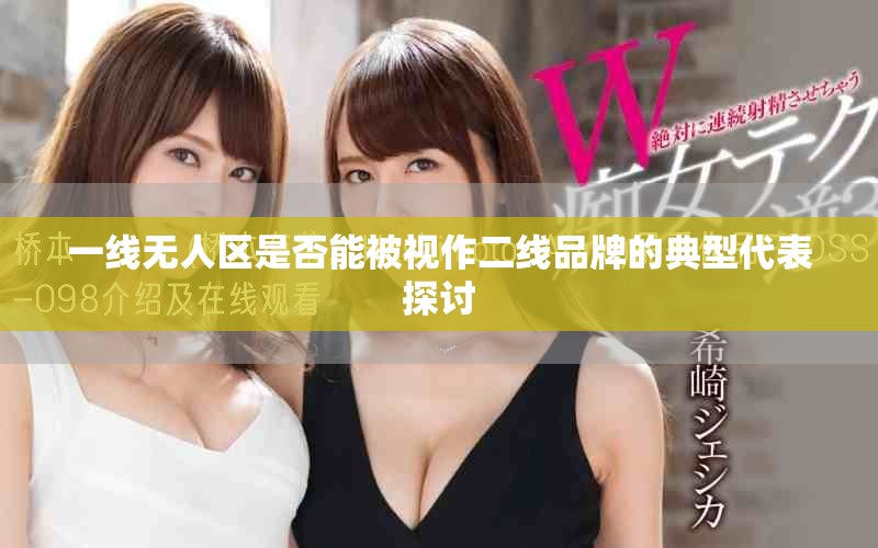 一线无人区是否能被视作二线品牌的典型代表探讨