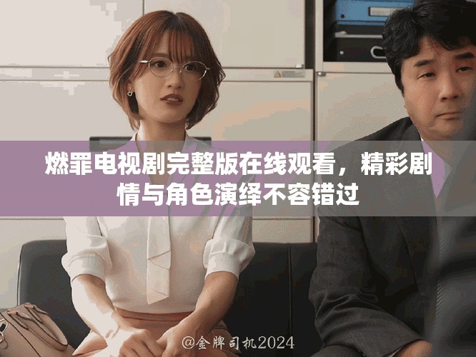 燃罪电视剧完整版在线观看，精彩剧情与角色演绎不容错过