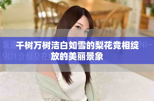 千树万树洁白如雪的梨花竞相绽放的美丽景象