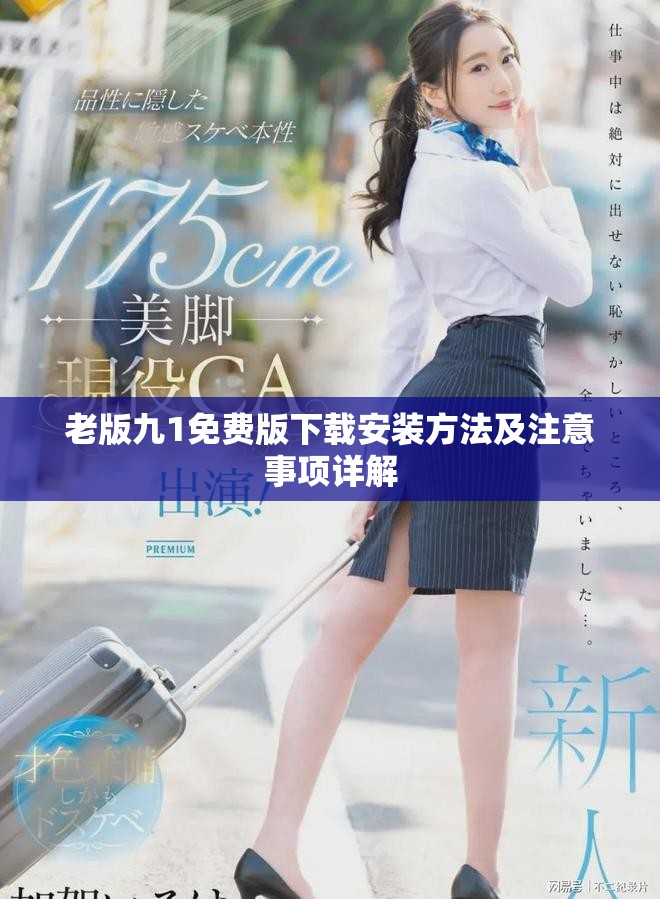 老版九1免费版下载安装方法及注意事项详解