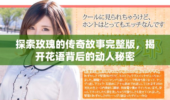 探索玫瑰的传奇故事完整版，揭开花语背后的动人秘密