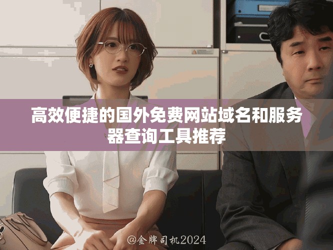 高效便捷的国外免费网站域名和服务器查询工具推荐