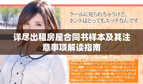 详尽出租房屋合同书样本及其注意事项解读指南