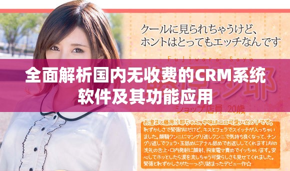 全面解析国内无收费的CRM系统软件及其功能应用
