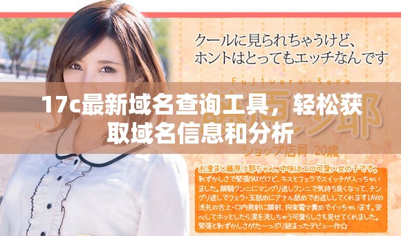 17c最新域名查询工具，轻松获取域名信息和分析
