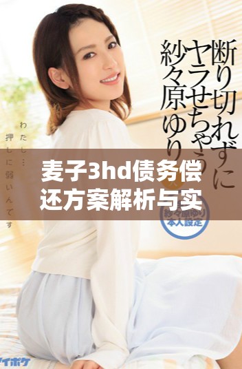麦子3hd债务偿还方案解析与实施步骤详解