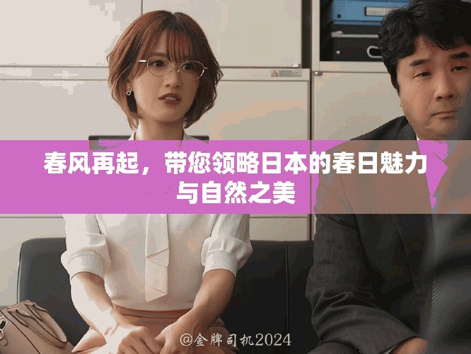 春风再起，带您领略日本的春日魅力与自然之美