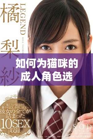 如何为猫咪的成人角色选择独特又有趣的地域网名