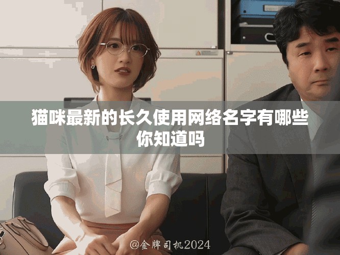 猫咪最新的长久使用网络名字有哪些你知道吗