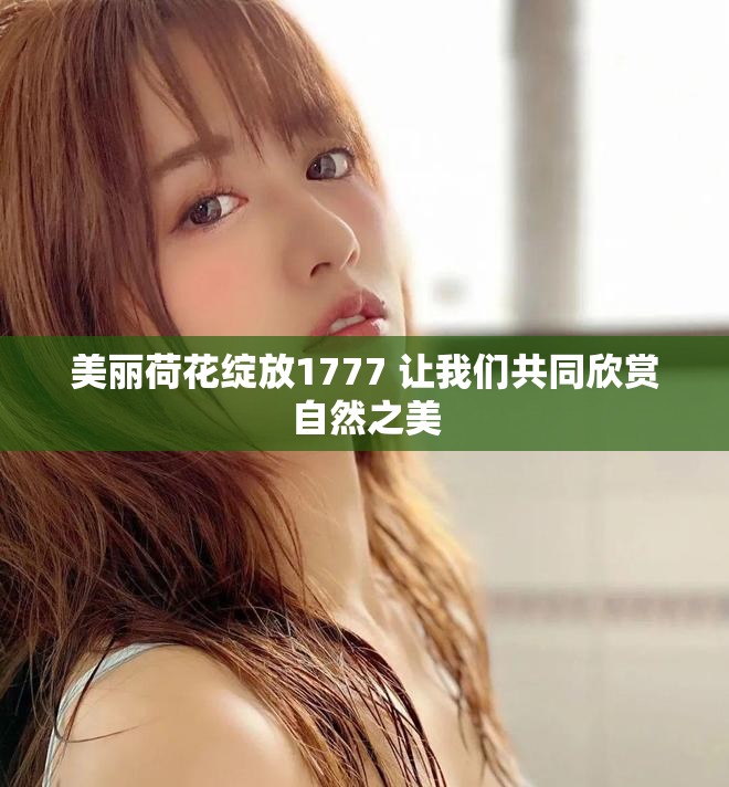 美丽荷花绽放1777 让我们共同欣赏自然之美