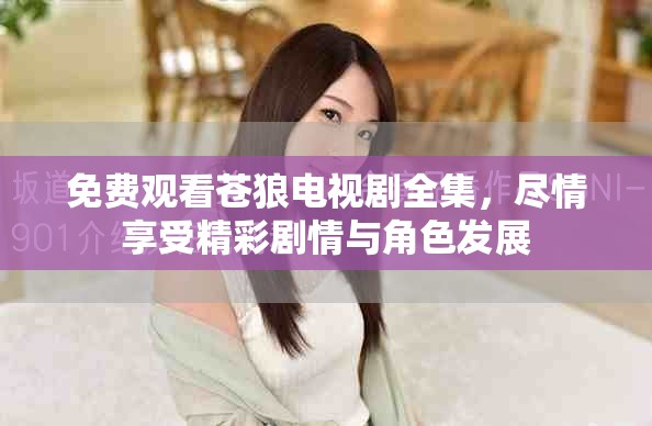 免费观看苍狼电视剧全集，尽情享受精彩剧情与角色发展