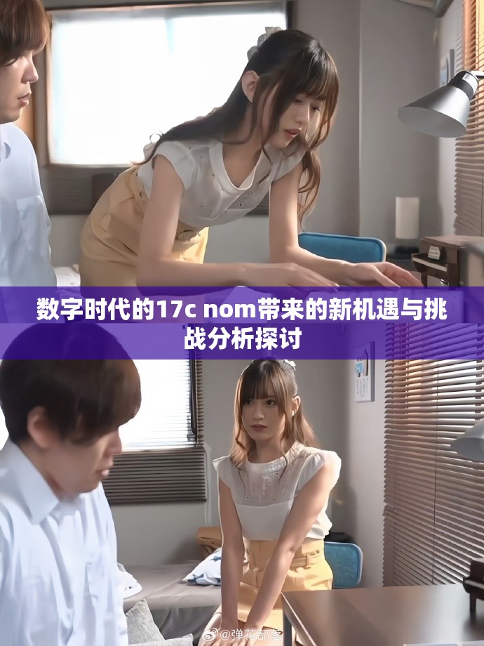 数字时代的17c nom带来的新机遇与挑战分析探讨