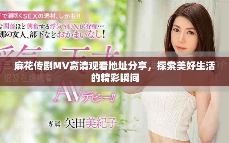 麻花传剧MV高清观看地址分享，探索美好生活的精彩瞬间
