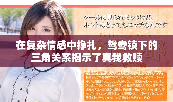 在复杂情感中挣扎，鸳鸯锁下的三角关系揭示了真我救赎